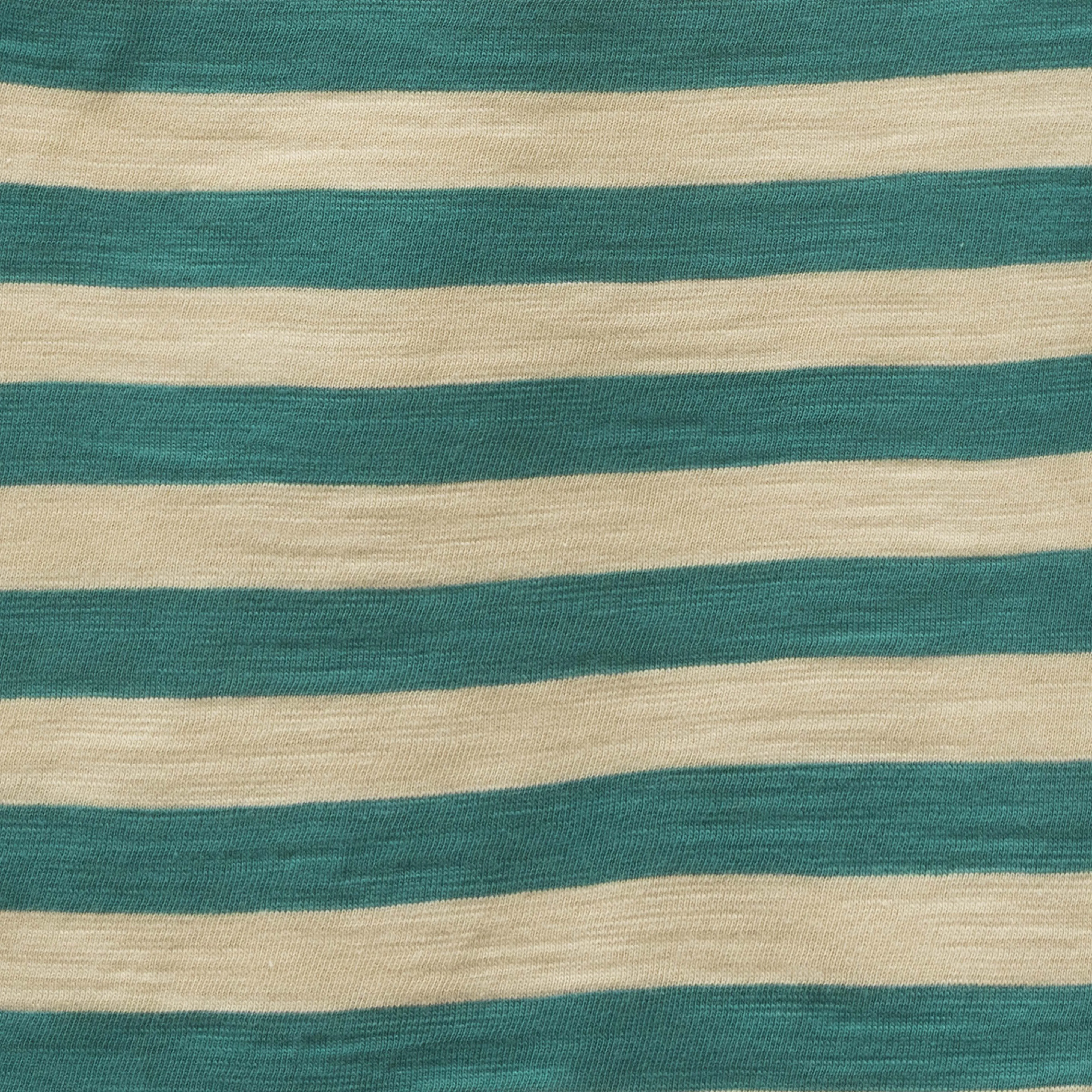 Baby Boys Sleeveless Green Striped T-shirt  Let the Adventure Begin with Ladybug Patch