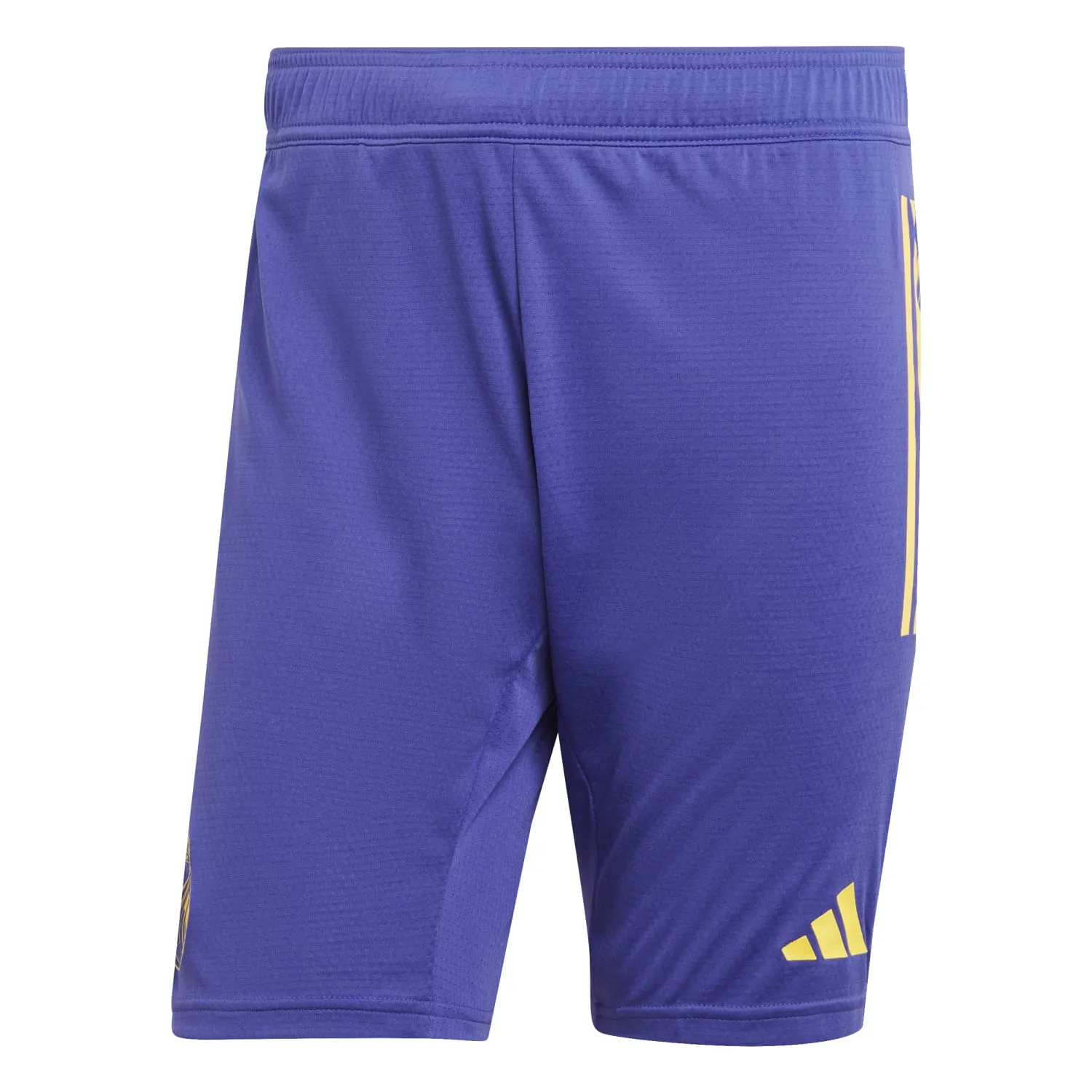 Mens Pro Training Shorts 23/24 Blue