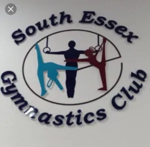 SEGC RG Gymnasts T-Shirts for Grade Finals