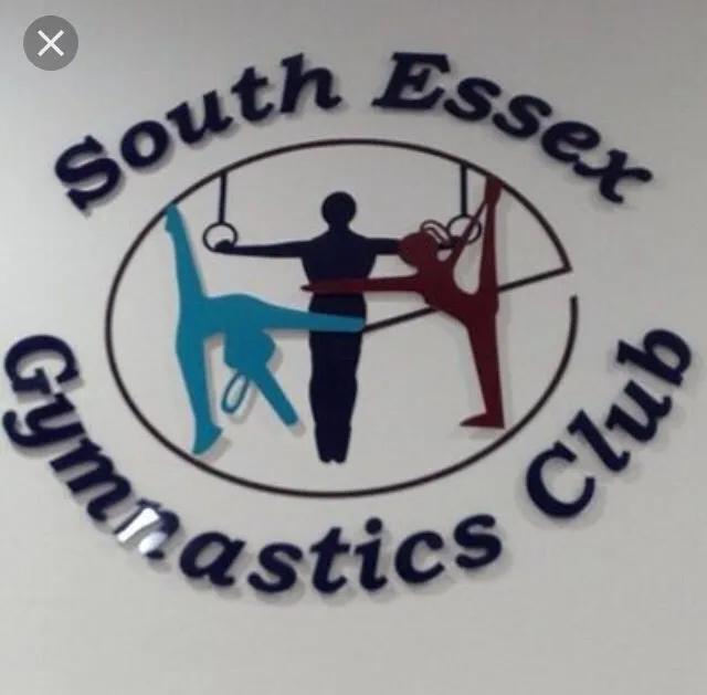 SEGC RG Gymnasts T-Shirts for Grade Finals